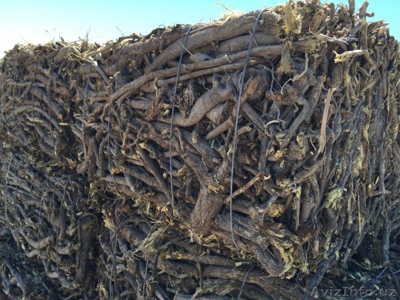 Продаю корень солодки - Изображение #1, Объявление #1545207