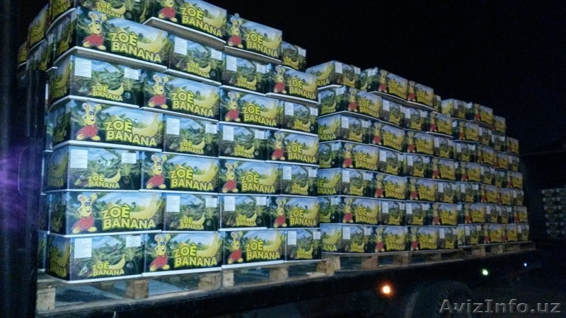 Свежие бананы оптом от производителя через порт С.Петербург. - Изображение #3, Объявление #775625